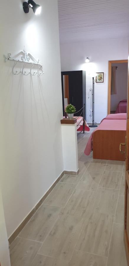 הוילה פיידימונטה אטנאו Casa Vacanza Etna Evergreen מראה חיצוני תמונה