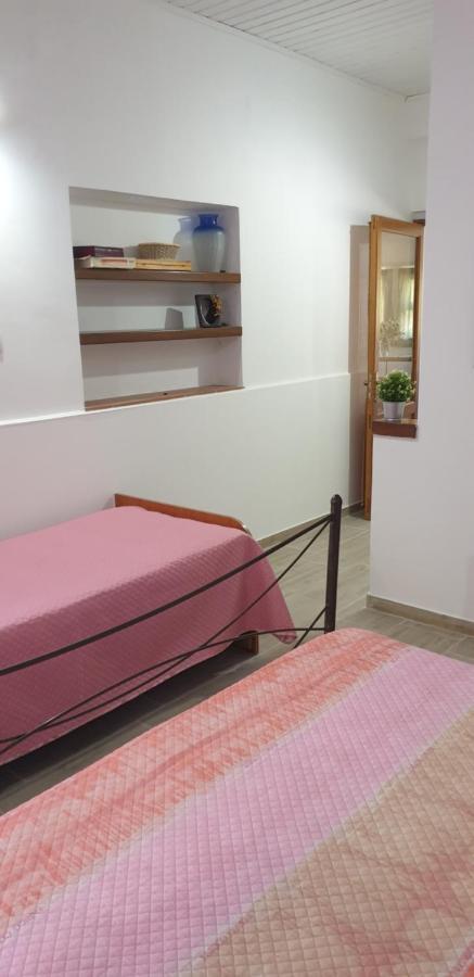 הוילה פיידימונטה אטנאו Casa Vacanza Etna Evergreen מראה חיצוני תמונה