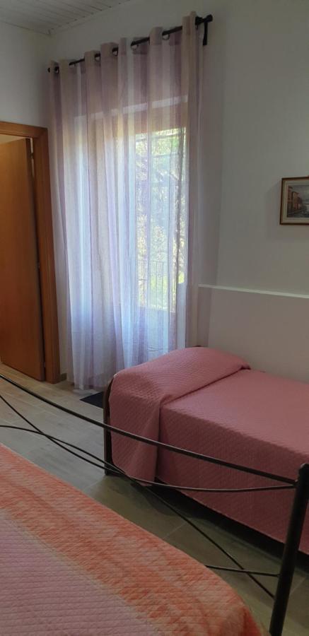 הוילה פיידימונטה אטנאו Casa Vacanza Etna Evergreen מראה חיצוני תמונה