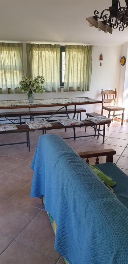 הוילה פיידימונטה אטנאו Casa Vacanza Etna Evergreen מראה חיצוני תמונה