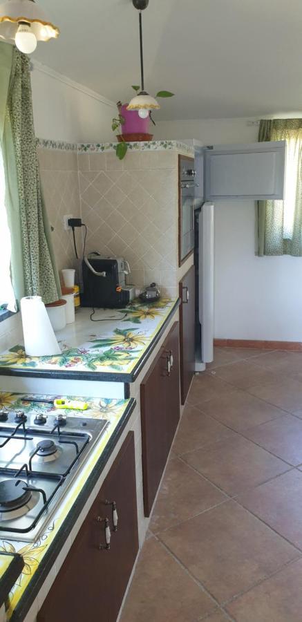 הוילה פיידימונטה אטנאו Casa Vacanza Etna Evergreen מראה חיצוני תמונה