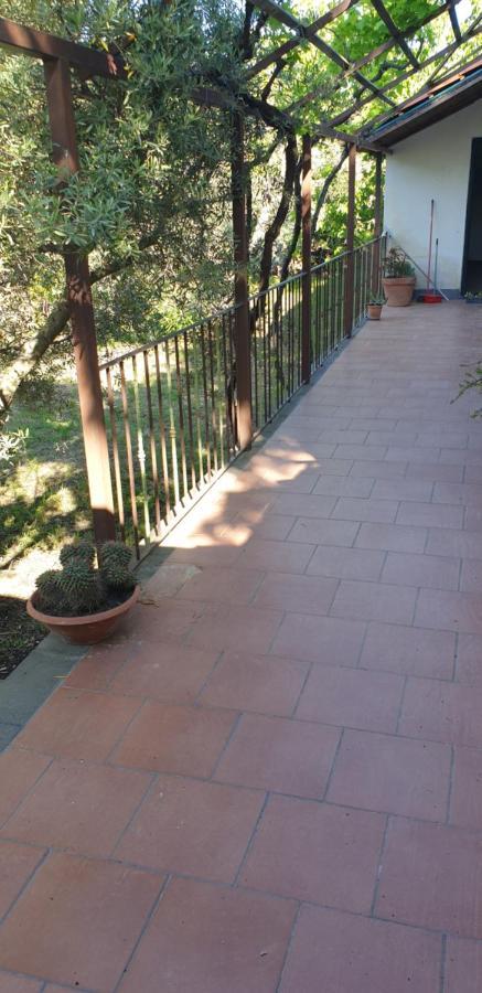 הוילה פיידימונטה אטנאו Casa Vacanza Etna Evergreen מראה חיצוני תמונה