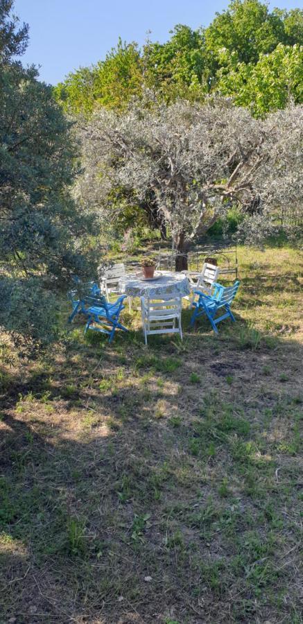 הוילה פיידימונטה אטנאו Casa Vacanza Etna Evergreen מראה חיצוני תמונה