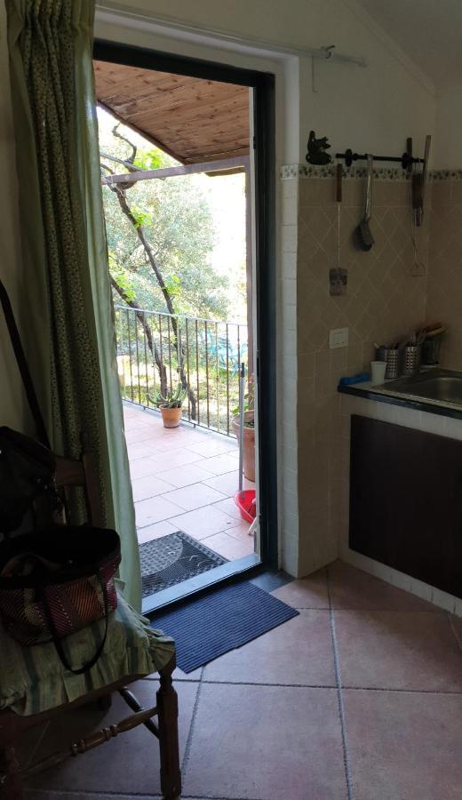 הוילה פיידימונטה אטנאו Casa Vacanza Etna Evergreen מראה חיצוני תמונה