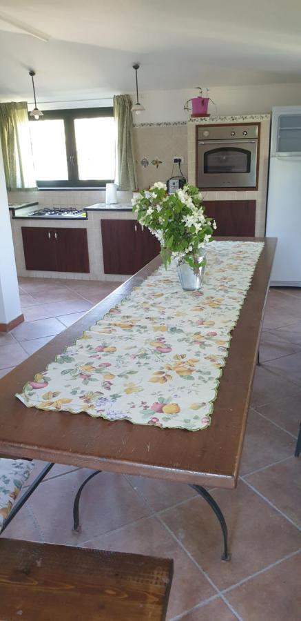 הוילה פיידימונטה אטנאו Casa Vacanza Etna Evergreen מראה חיצוני תמונה