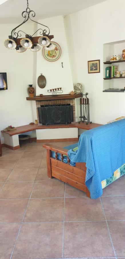 הוילה פיידימונטה אטנאו Casa Vacanza Etna Evergreen מראה חיצוני תמונה