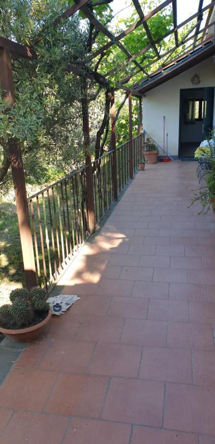 הוילה פיידימונטה אטנאו Casa Vacanza Etna Evergreen מראה חיצוני תמונה