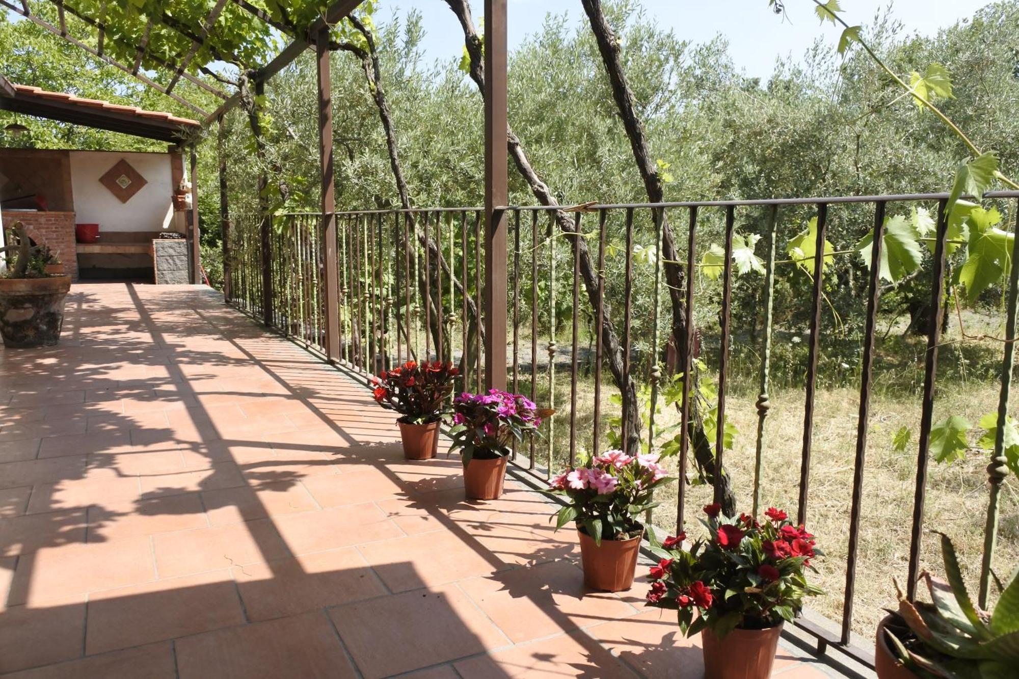 הוילה פיידימונטה אטנאו Casa Vacanza Etna Evergreen מראה חיצוני תמונה