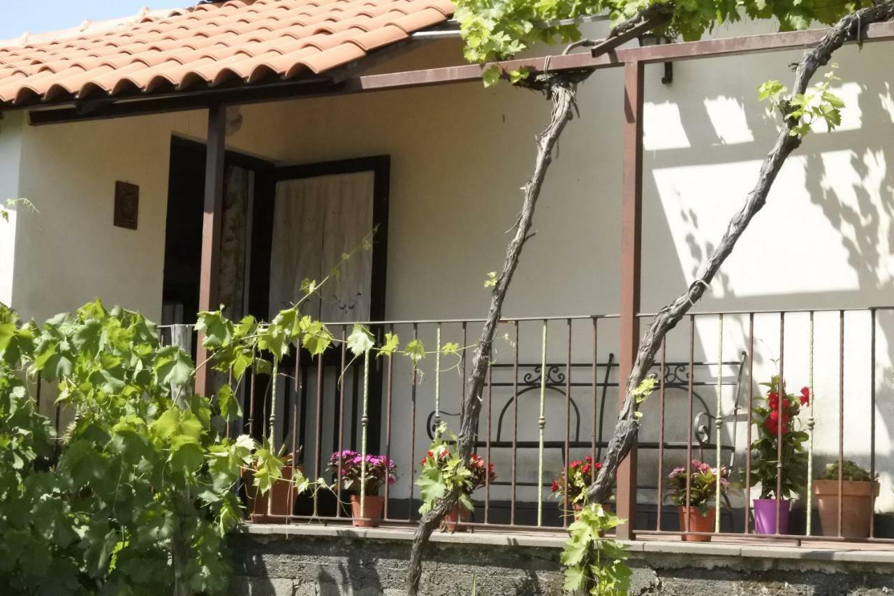 הוילה פיידימונטה אטנאו Casa Vacanza Etna Evergreen מראה חיצוני תמונה